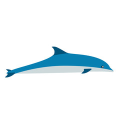 Dolphin blue mammal art graphic symbol vector icon. Animal sea aquarium show illustration side view.