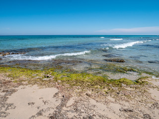 Beach with outcropping rocks of the Protected Marine Area of Torre Guaceto. Coastal and marine nature reserve with a defensive tower of the 16th century. Brindisi, Puglia (Apulia), Italy
