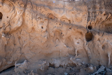 anthropomorphic sculptures in the rock in the Protected Marine Area of Torre Guaceto. Coastal and marine nature reserve with a defensive tower of the 16th century. Brindisi, Puglia (Apulia), Italy