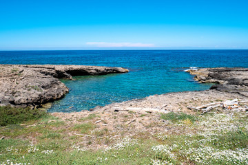 Beach with outcropping rocks of the Protected Marine Area of Torre Guaceto. Coastal and marine nature reserve with a defensive tower of the 16th century. Brindisi, Puglia (Apulia), Italy