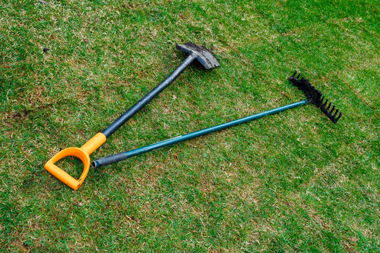 The gardener's dirty shovel and rakes are lying on the fresh rolled lawn