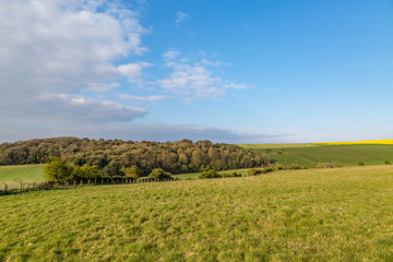 A scenic view from along the South Downs Way in Sussex, on a sunny spring morning