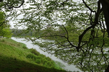 Lake on the Holkham Estate, North Norfolk, England, UK