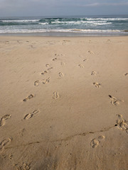 pegadas na areia
