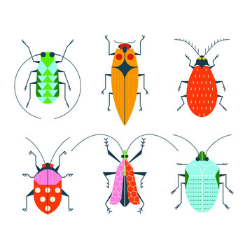 Six colourful flat graphic vector insects
