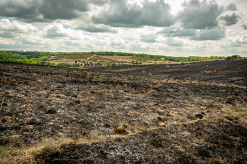 Aftermath of moorland fire