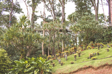 Tropischer Garten Jardin de Balata auf Martinique in der Karibik