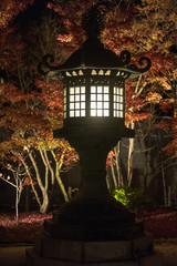 Japanese night lantern illuminating the autumn foliage behind it horizontal