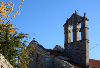 Fototapeta na wymiar Church with bell tower in Pula view in spring time with blooming forsythia.