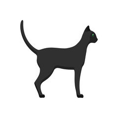 Cat side view vector icon animal cartoon illustration. Black pet isolated tail kitty. Graphic walking flat mammal