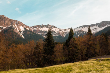 Fototapeta premium saturated lively spring colors mountain view trees forest clarity day sky freedom meadow