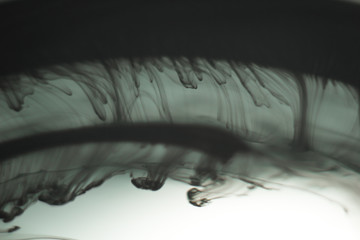 a cloud of ink in a transparent glass cup with clear water amid rays of light. Template, layout, background, texture. macro diffusion black and white abstraction