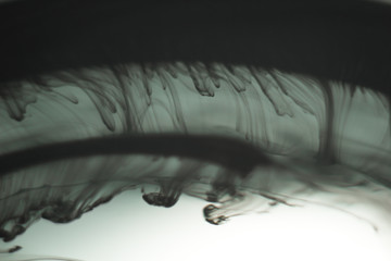 a cloud of ink in a transparent glass cup with clear water amid rays of light. Template, layout,...
