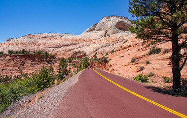 Strasse im Zion National Park