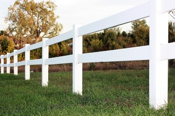 Fototapeta premium White fence along a stretch of green grass with a tree with its leaves turning color