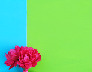 Bright green and blue background, pink roses with copy space.