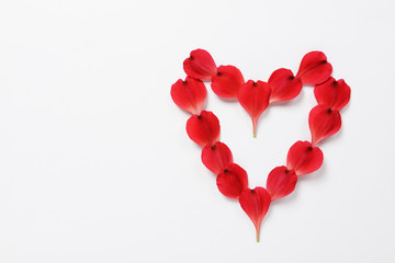 The heart shape made from red petals of flowers of Alstroemeria and text space