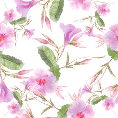 Pink Dipladenia flowers on white background.Seamless pattern.
