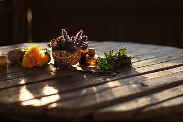 healthy plants, bottle of tincture or infusion. nature background.Herbal medicine.