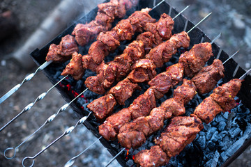 roasted meat, skewers with onions on skewers on the grill