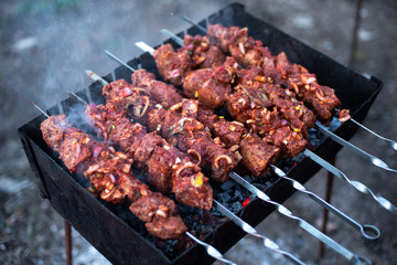 roasted meat, skewers with onions on skewers on the grill