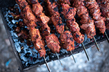 roasted meat, skewers with onions on skewers on the grill