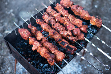 roasted meat, skewers with onions on skewers on the grill