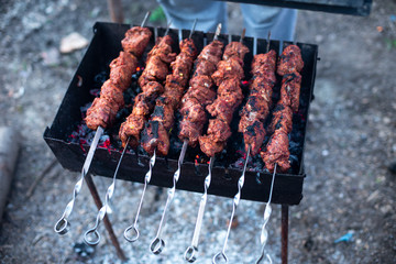 roasted meat, skewers with onions on skewers on the grill