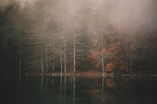 Lac vert sous la brume