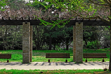 Spring park lined with wooden benches