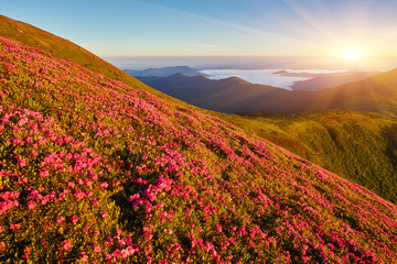 Yellow Illuminated Tent in the Beautirul Evening Mountains.