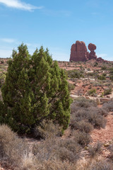 Arches National Park