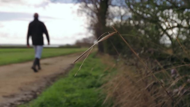 Footage of grass blowing in the wind, then a man appearing (blurred out) walking away from the camera, this is set in the countryside