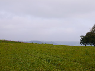 A green meadow trees and covered sky in Germany