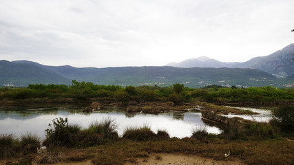  Solila bird reserve at the place of the former salt water,Adriatic sea,  between Tivat airport and Luštica peninsula, Montenegro