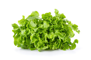 Lettuce vegatable isolated on white background. full depth of field
