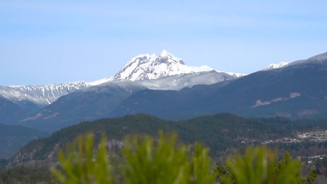 Garibaldi mountain 120 fps slow motion, pine needles in fore ground focus snap to mountain