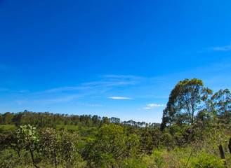 View of Atlantic forest with beautiful blue sky, Brazil