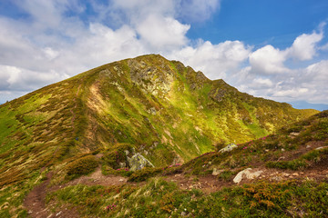 Fototapeta premium Beautiful view of the tranquil alpine landscape with green meadows, trees, dark low clouds on the mountains in the background on a sunny summer day.