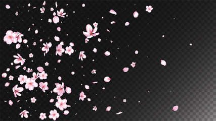 Nice Sakura Blossom Isolated Vector. Realistic Showering 3d Petals Wedding Paper. Japanese Oriental Flowers Wallpaper. Valentine, Mother's Day Pastel Nice Sakura Blossom Isolated on Black