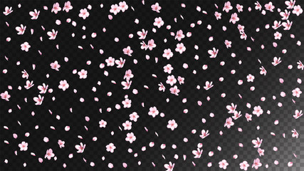 Nice Sakura Blossom Isolated Vector. Pastel Flying 3d Petals Wedding Pattern. Japanese Oriental Flowers Wallpaper. Valentine, Mother's Day Tender Nice Sakura Blossom Isolated on Black