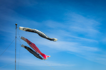 Japanese Children's Day. A carp windsock is flying in the sky.
