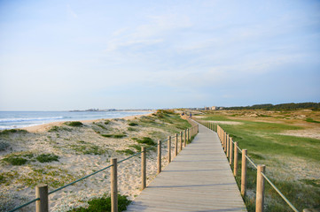 Fototapeta na wymiar Wooden footwalk over the dunes in portugal near the beach