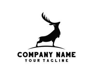 lion, head, power, king, logo, wildlife, leo, wolf, black, illustration, predator, abstract, modern, design, digital, creative