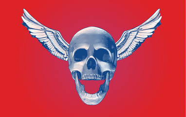 Engraving skull and wings isolated on red BG