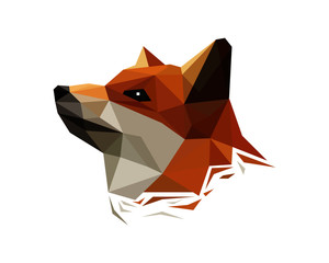 lion, head, power, king, logo, wildlife, leo, wolf, black, illustration, predator, abstract, modern, design, digital, creative