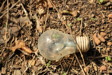 old lamp thrown into the environment