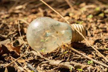 old lamp thrown into the environment