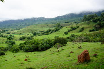 viagem