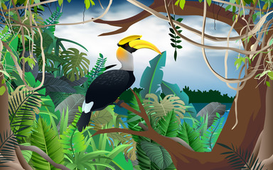 hornbill bird on the tree in the jungle © เอกชัย โททับไทย